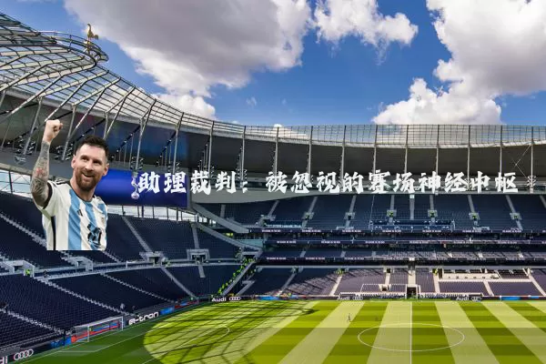 助理裁判：被忽视的赛场神经中枢
